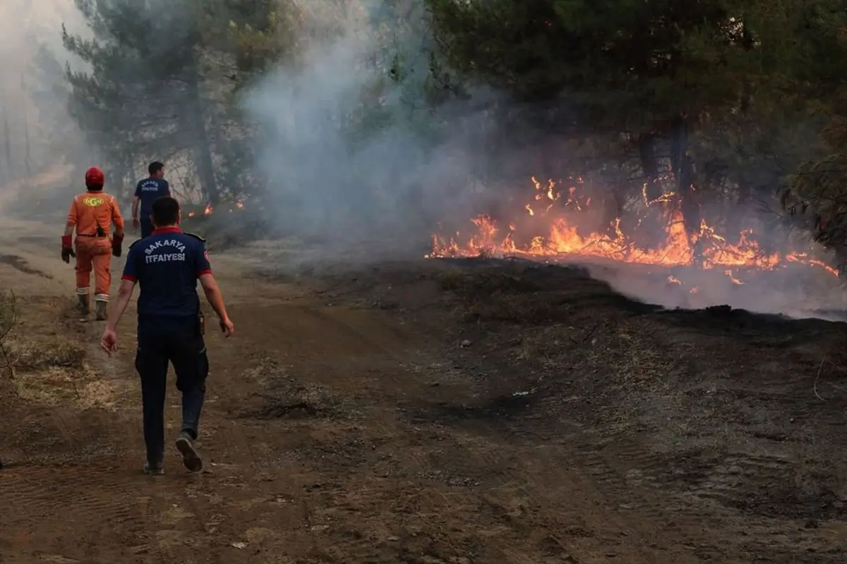 Incêndios florestais assolam várias regiões do país