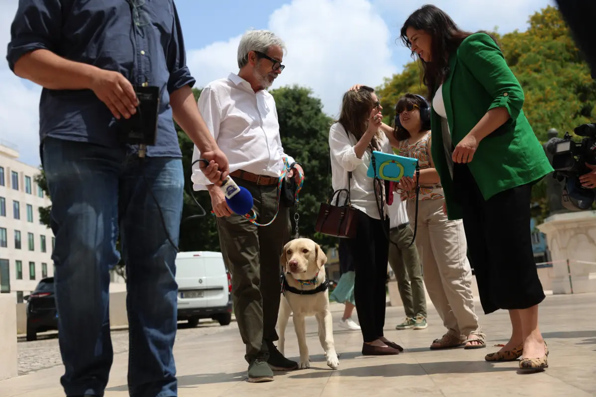 TAP esteve recentemente envolvida numa polémica por causa do transporte de um cão de assistência