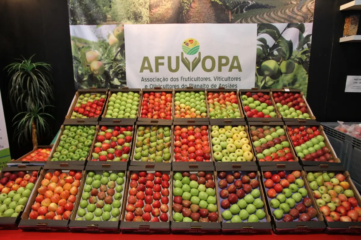 Maçãs para todos os gostos no certame que termina domingo