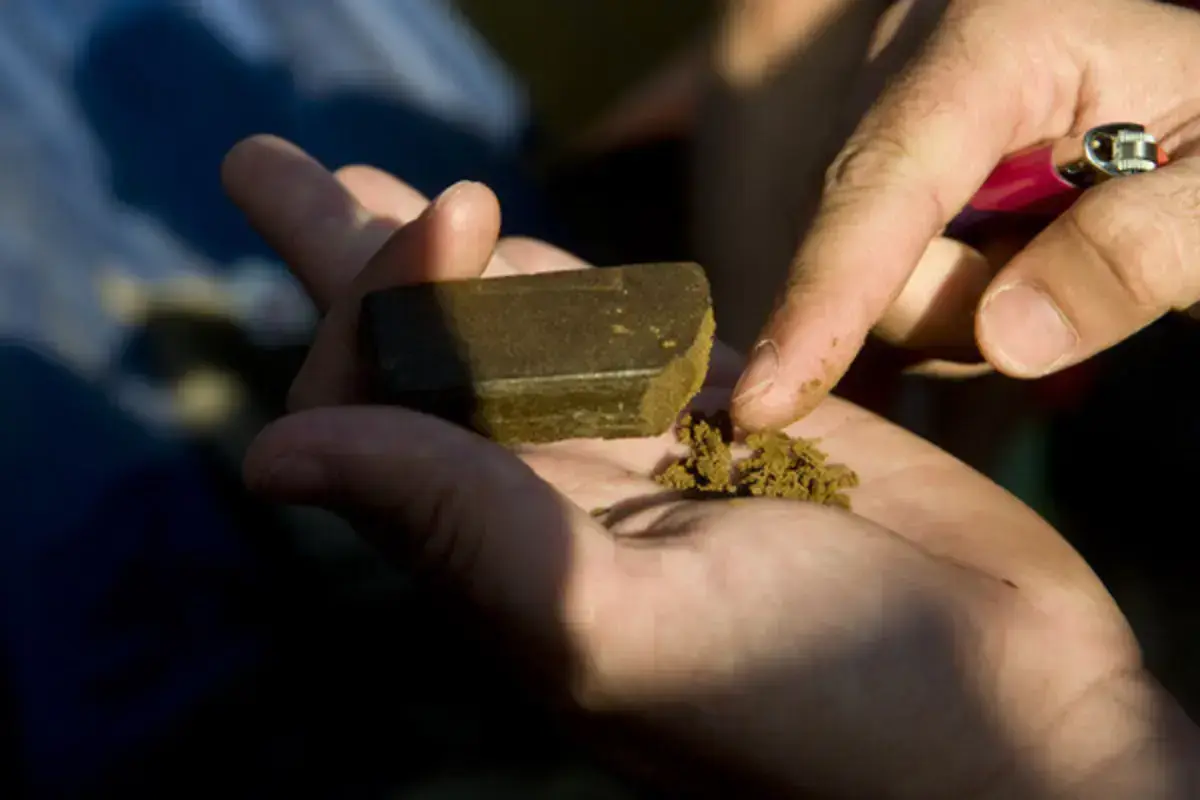 Haxixe era uma das drogas traficadas pelos suspeitos