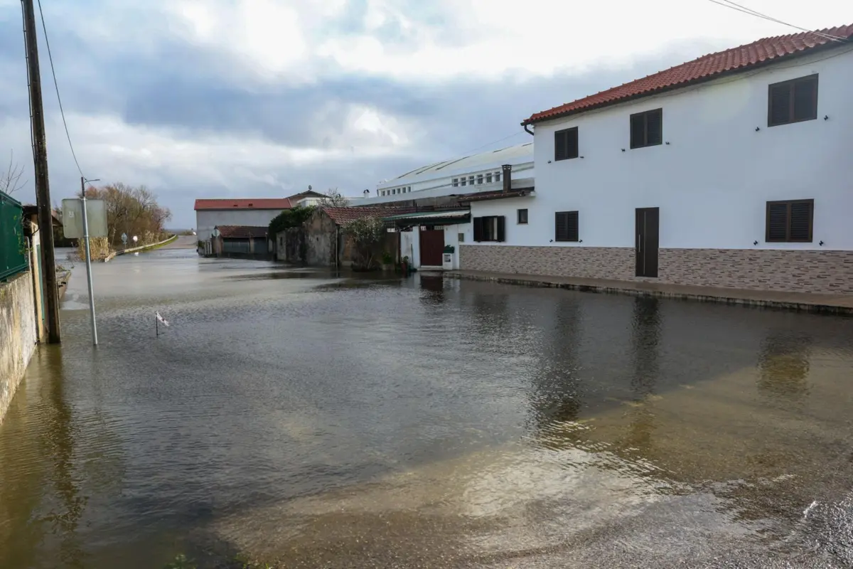 Imagem de contexto do artigo Tejo com nova subida prevista durante a noite