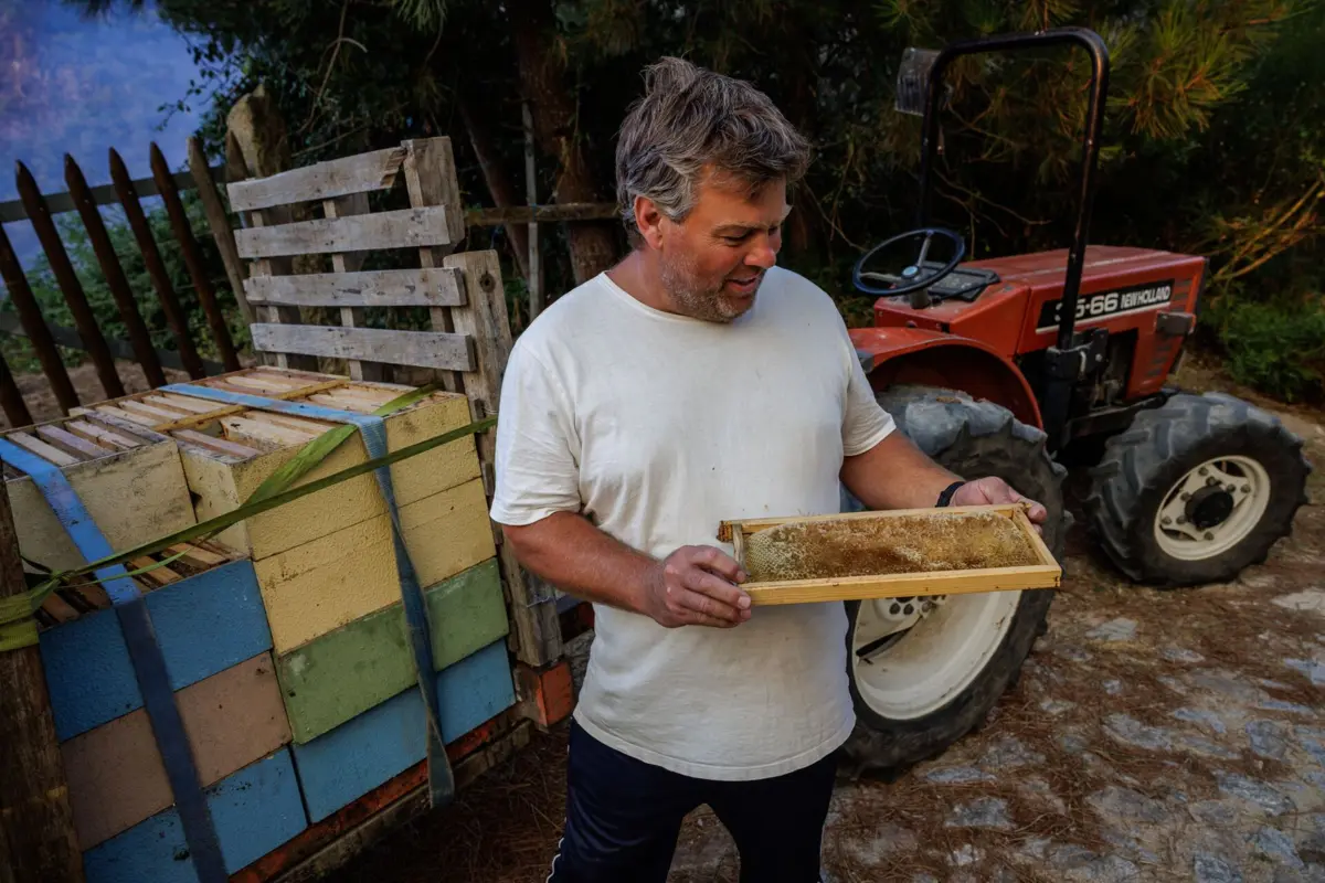 José Carlos, proprietário de alguns apiários, retirou por precaução algumas molduras das suas colmeias