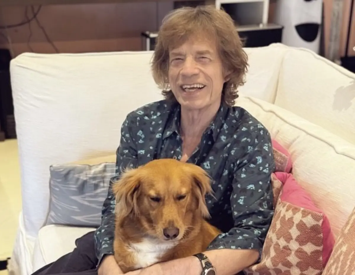 Músico britânico, de 81 anos, não é elegível para votar nas eleições dos EUA, mas sente-se representado pelos filhos