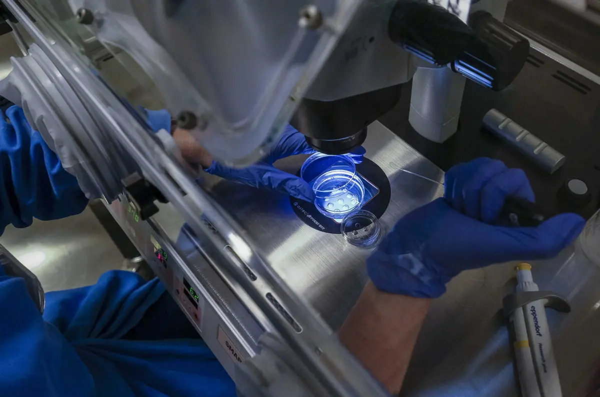 Clínicas de fertilidade suspenderam tratamentos com medo de enfrentarem processos por homicídio