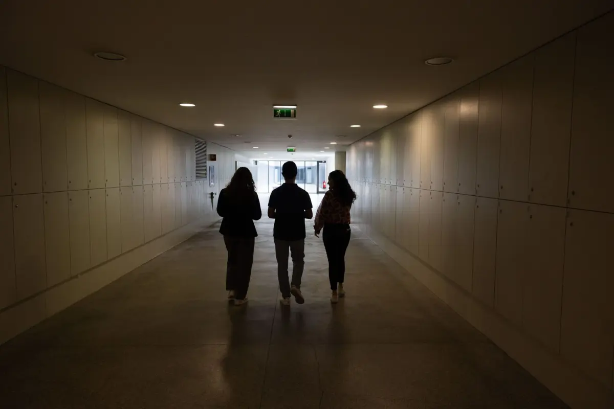 Para o próximo ano letivo, as universidades e institutos politécnicos disponibilizaram 55 956 lugares