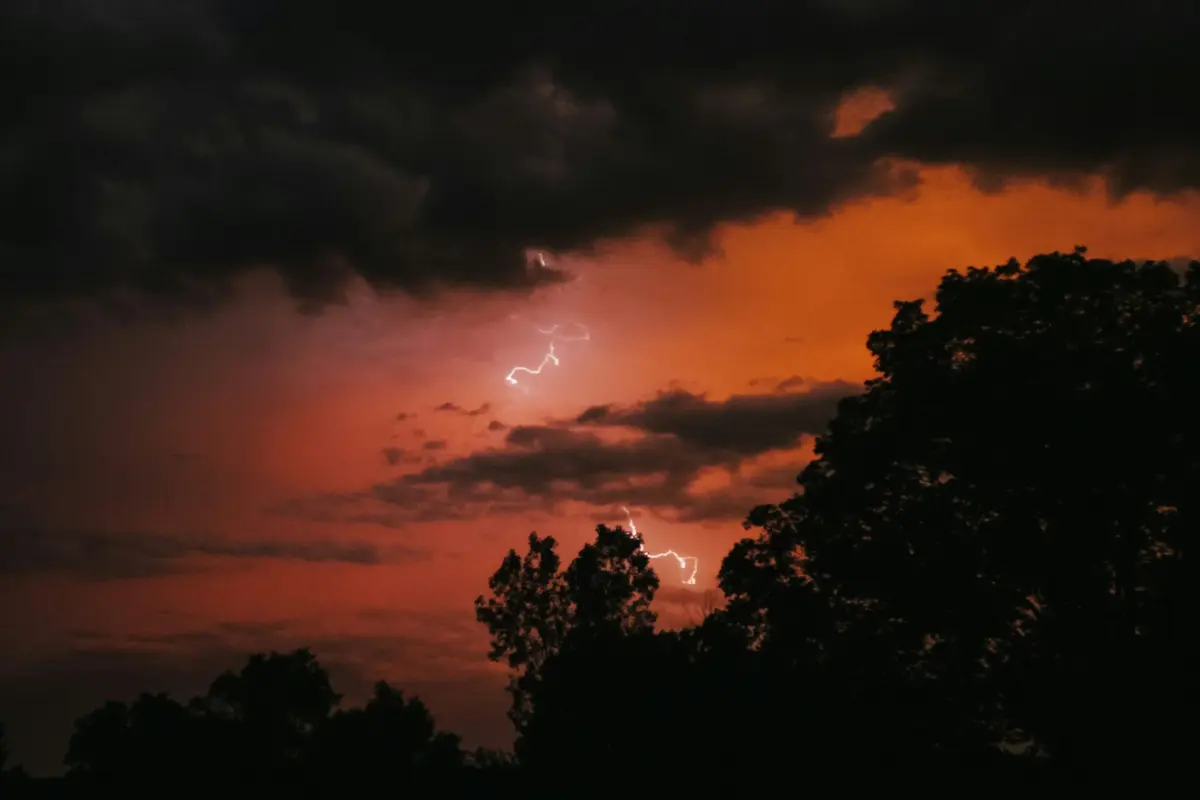 Imagem de contexto do artigo Cerca de 320 milhões de árvores são destruidas anualmente por raios