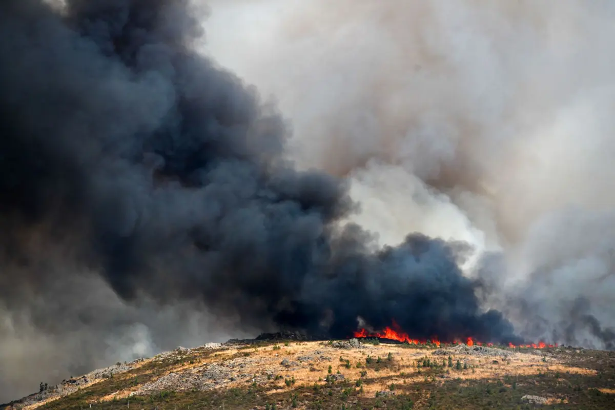 Este incêndio começou pelas 14.58 horas na localidade de Cinco Vilas, em Figueira de Castelo Rodrigo, na quarta-feira, e avançou pelas margens do rio Côa para os concelhos de Almeida e Pinhel