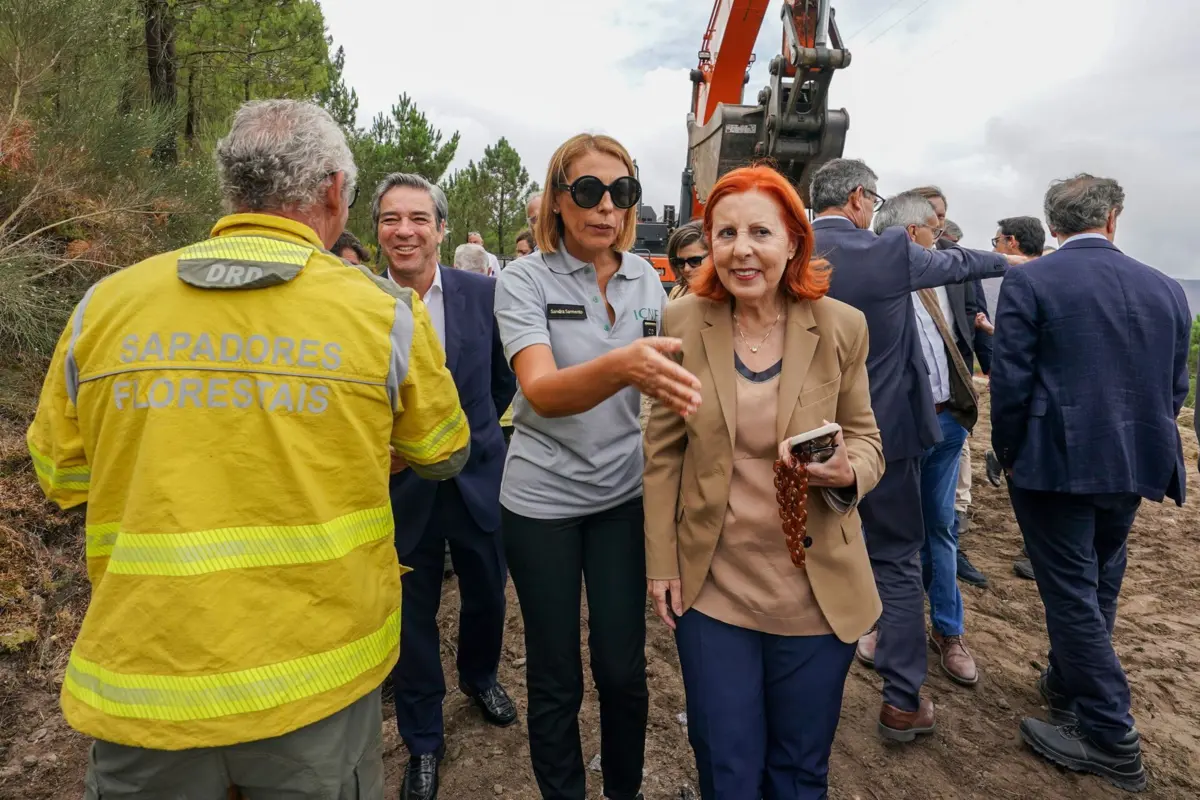 A ministra do Ambiente e Energia, Maria da Graça Carvalho