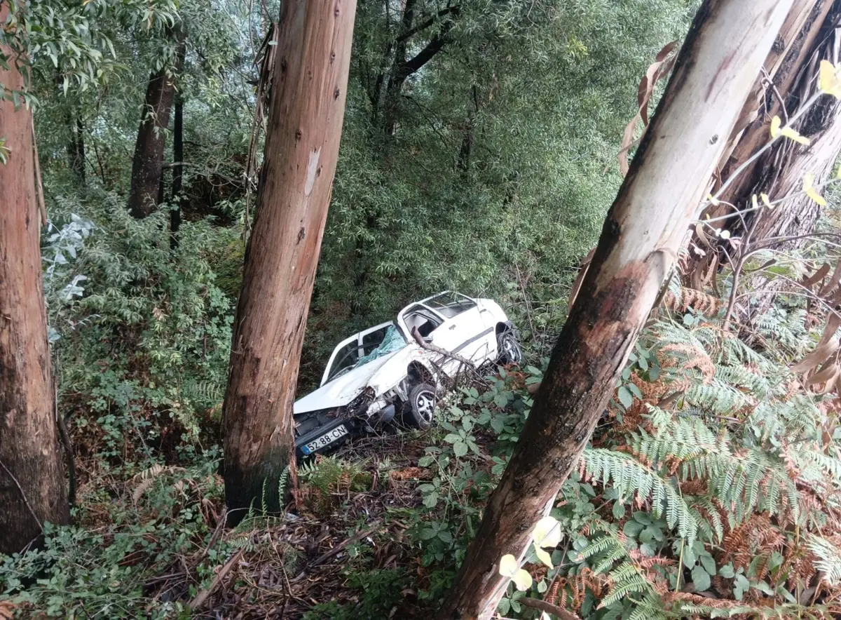 O automóvel despistado não se via da Estrada Nacional 103