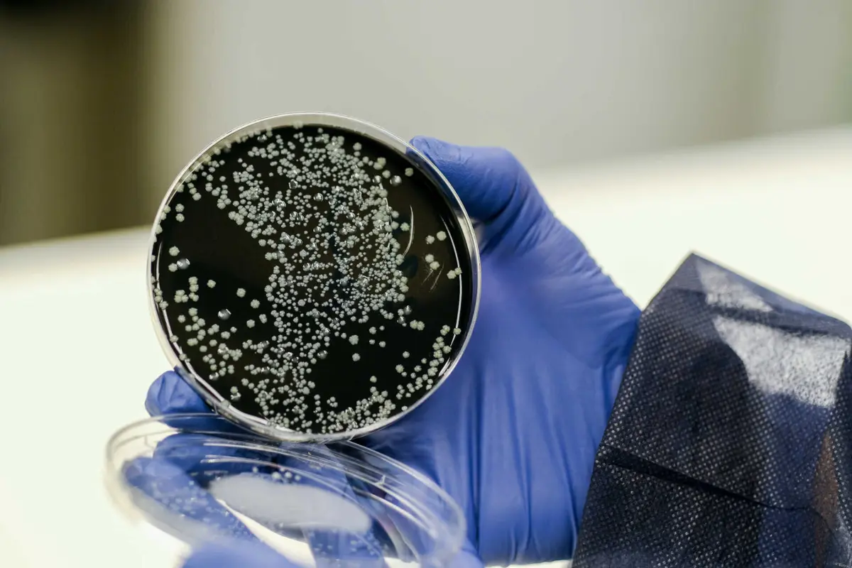 Autoridades polacas continuam à procura da origem da contaminação