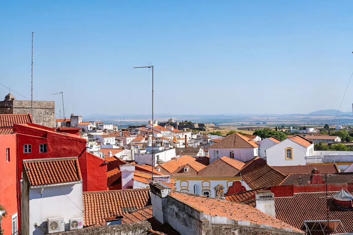 Em 2023, as energias renováveis forneceram 73% da energia consumida no país, "posicionando-o como um dos países dianteiros na transição energética"