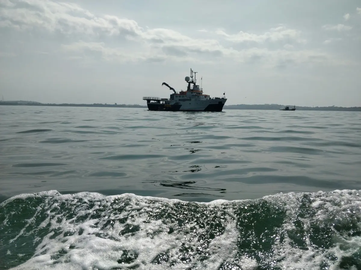 Imagem de contexto do artigo Reino Unido alarga proibição da pesca de arrasto a mais de metade das áreas protegidas