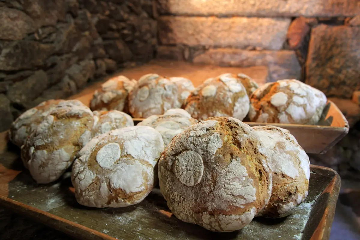Um painel de jurados vai eleger "o melhor pão de Portugal".