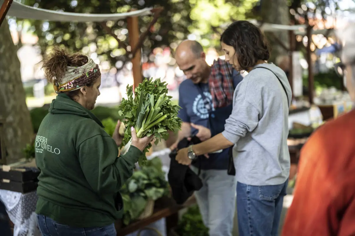 Imagem de contexto do artigo Última chamada para os jogos tradicionais do festival Moods em Matosinhos