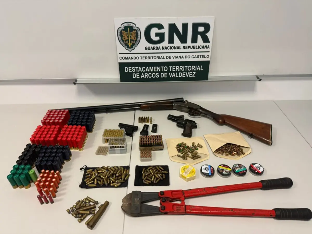 Material apreendido pela GNR inclui centenas de munições de vários calibres