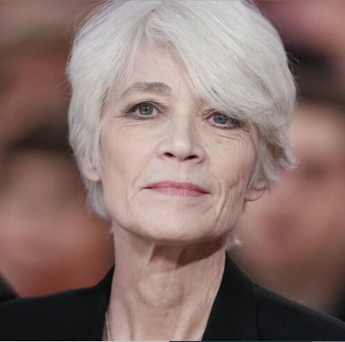 Françoise Hardy (na foto) e Alain Delon não desistem de serem eutanasiados