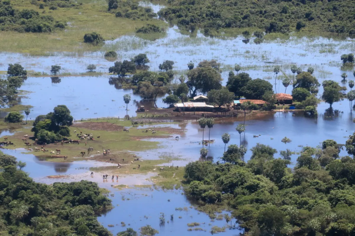 Imagem de contexto do artigo Chuvas na Bolívia fazem 55 mortos e afetam mais de meio milhão de famílias