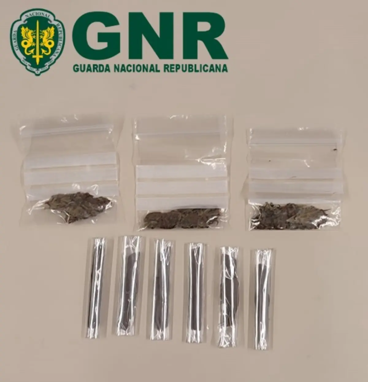 Foram encontradas haxixe e canábis