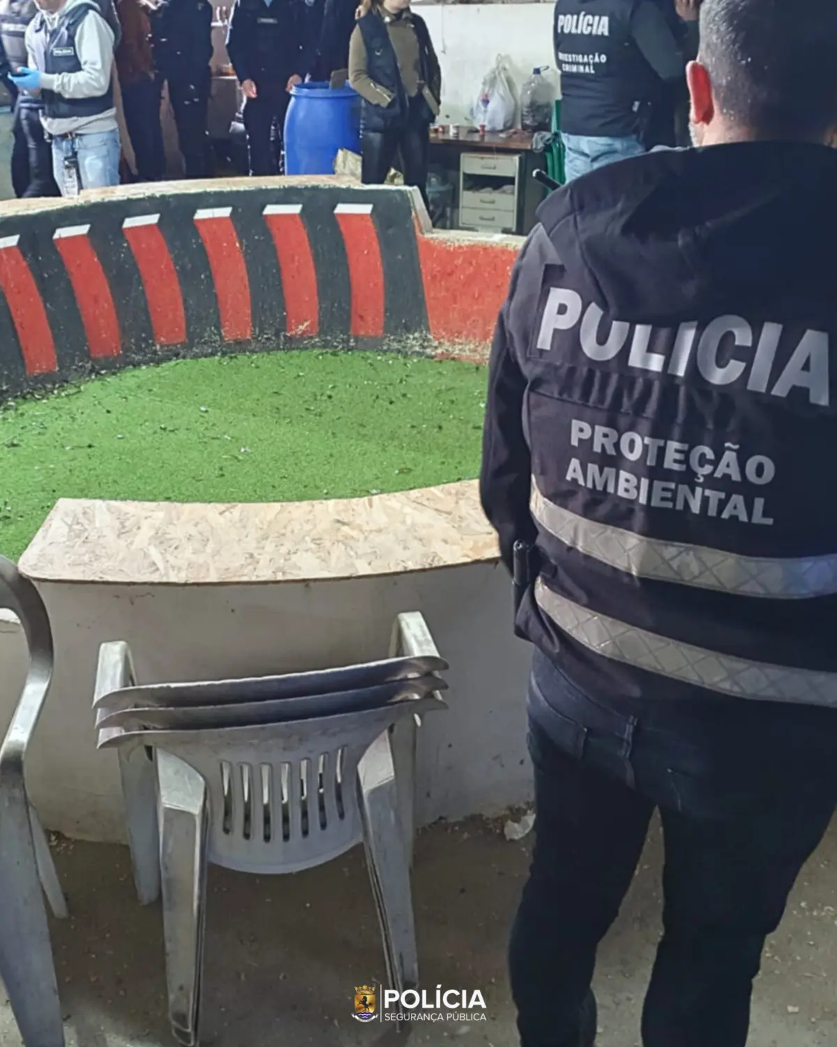 Polícias irromperam pelo antigo matadouro, junto a viaduto da A9 (CREL), e resgataram galos criados para lutar na arena (à dir.) montada no edifício