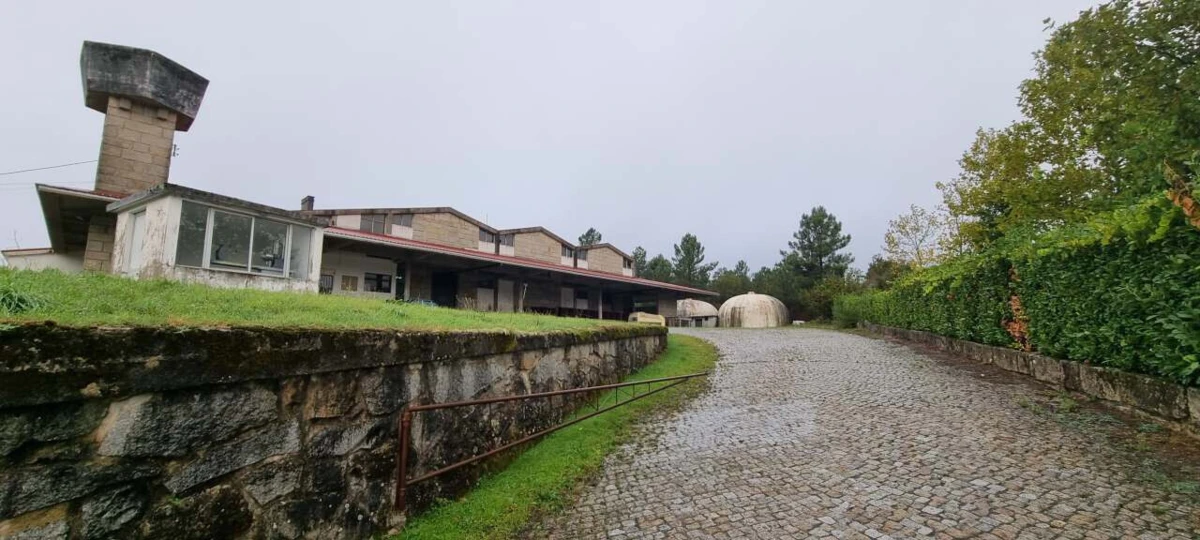 Condições logísticas do edifício e zona envolvente da Adega consideradas ideais para o projeto