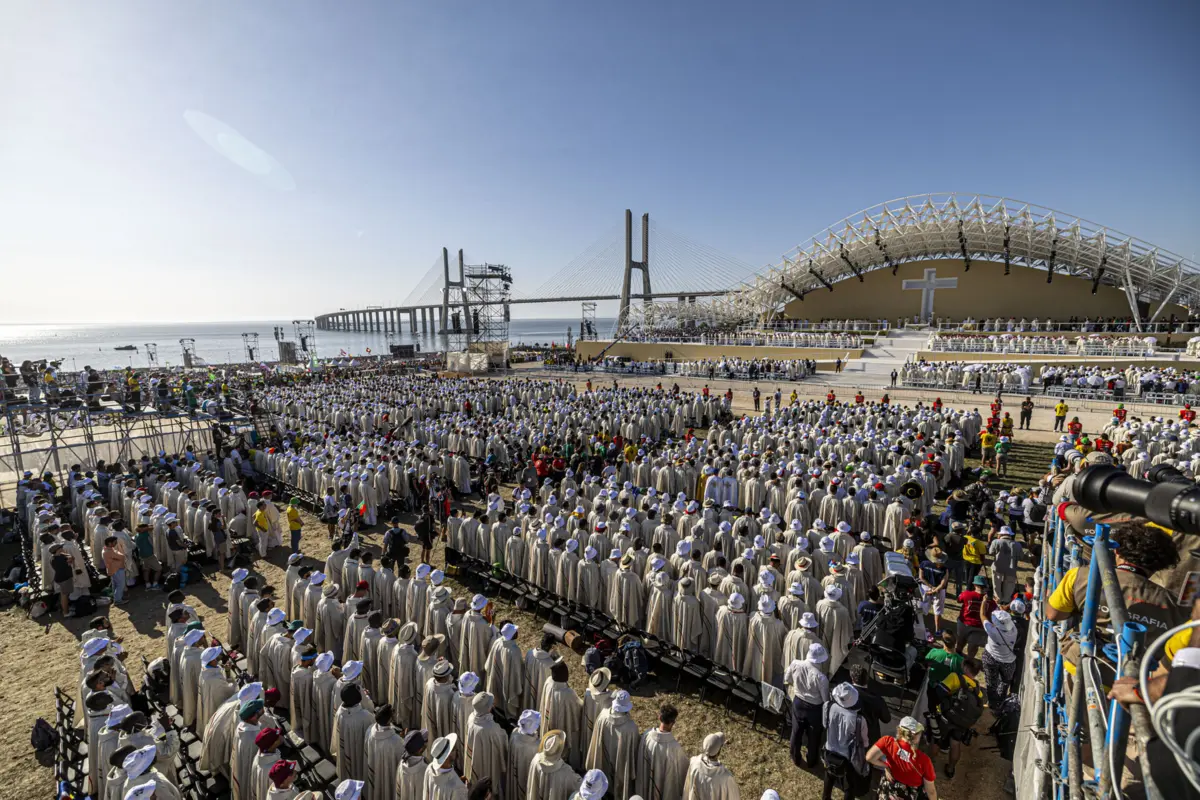 Dos 75 milhões de euros previstos em investimento público, o portal Base mostra como foram gastos 41,2 milhões