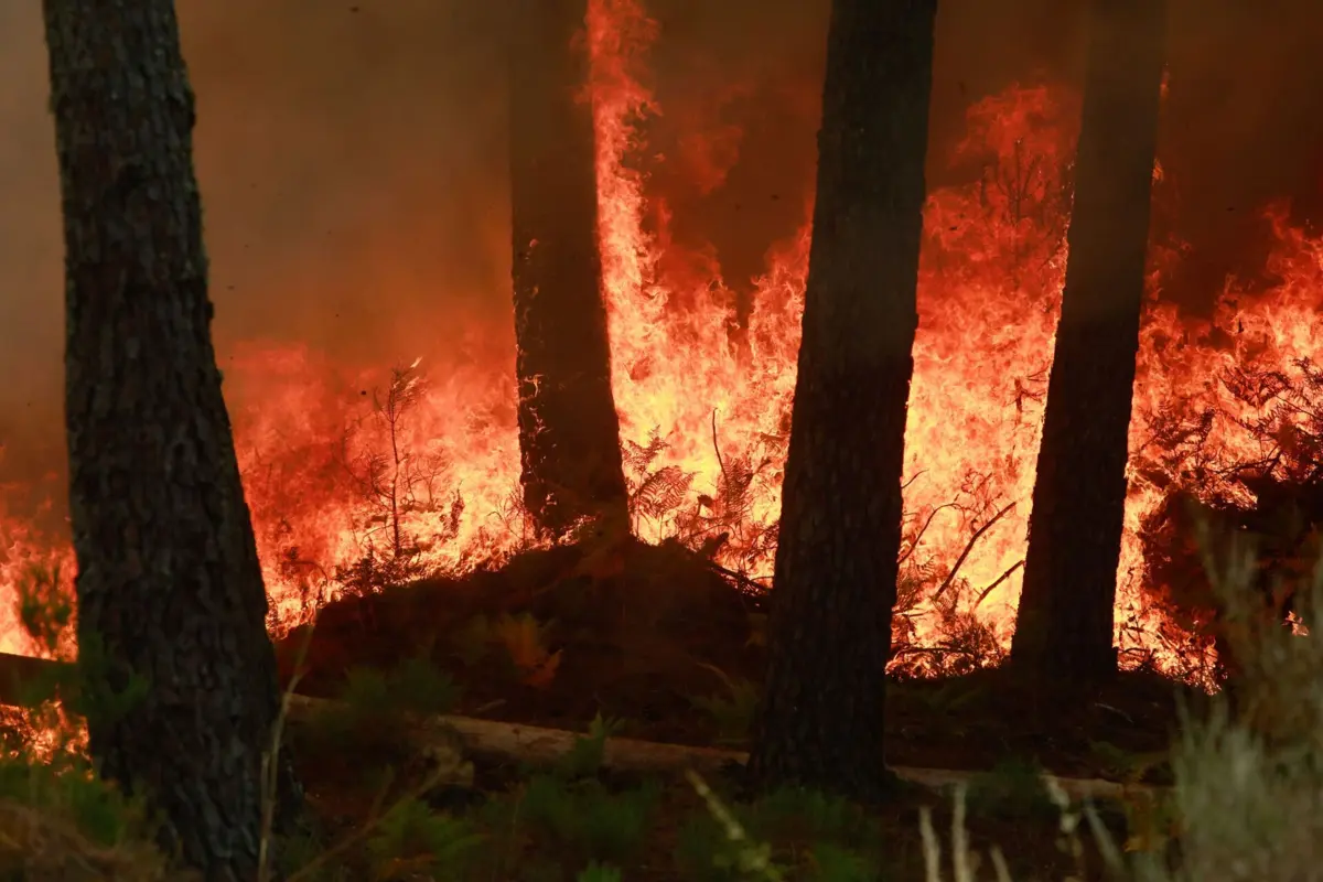 Incêndio que deflagrou na tarde de domingo em Mirandela, no distrito de Bragança, tem "três frentes ativas"