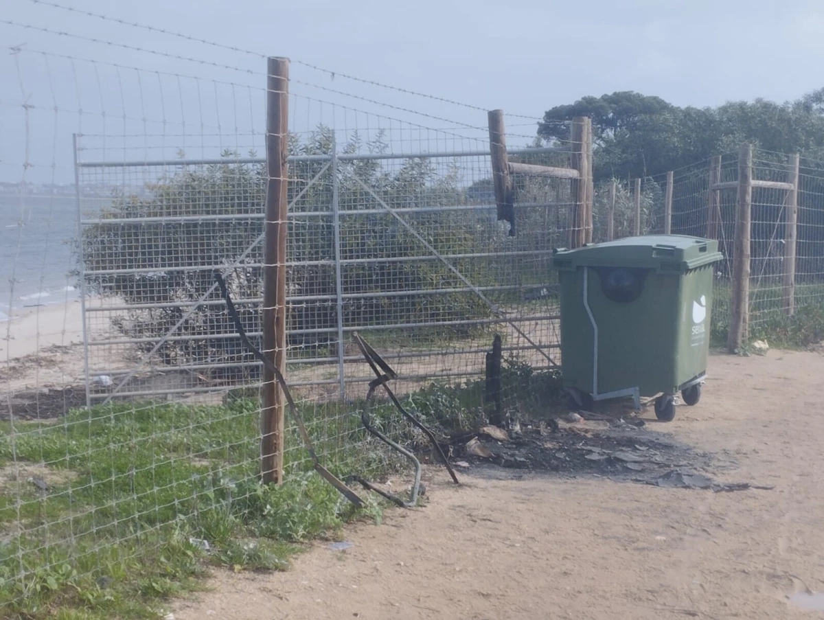 PJ está a investigar o caso