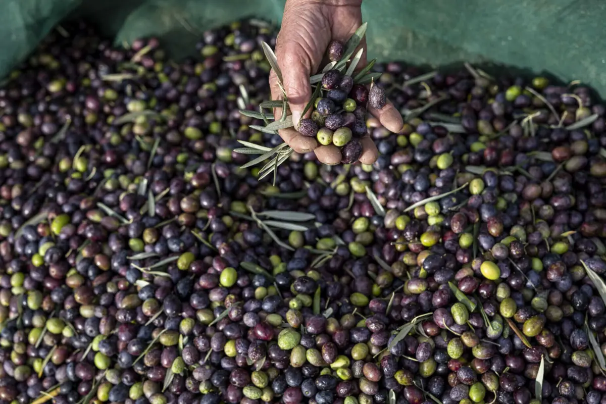 Quebra do maior produtor mundial e elevada procura explicam inflação