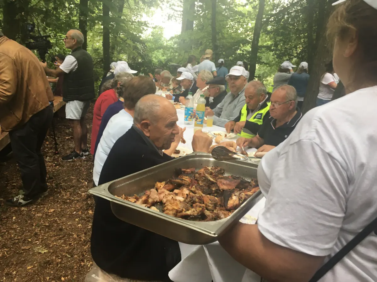 Mega Piquenique voltou a juntar a "Idade d´Ouro de Amarante"