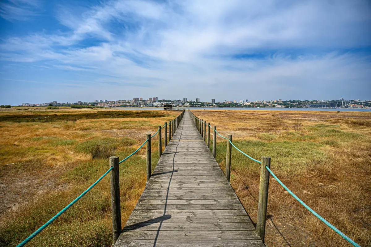 Reserva Natural Local do Estuário do Douro.