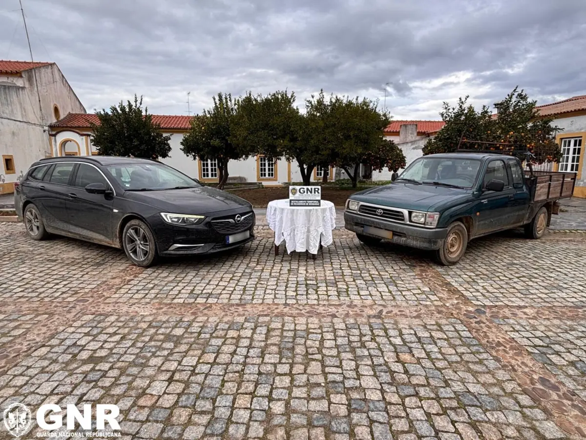 GNR deteve três pessoas suspeitas de furtar 63 ovelhas e apreendeu duas viaturas