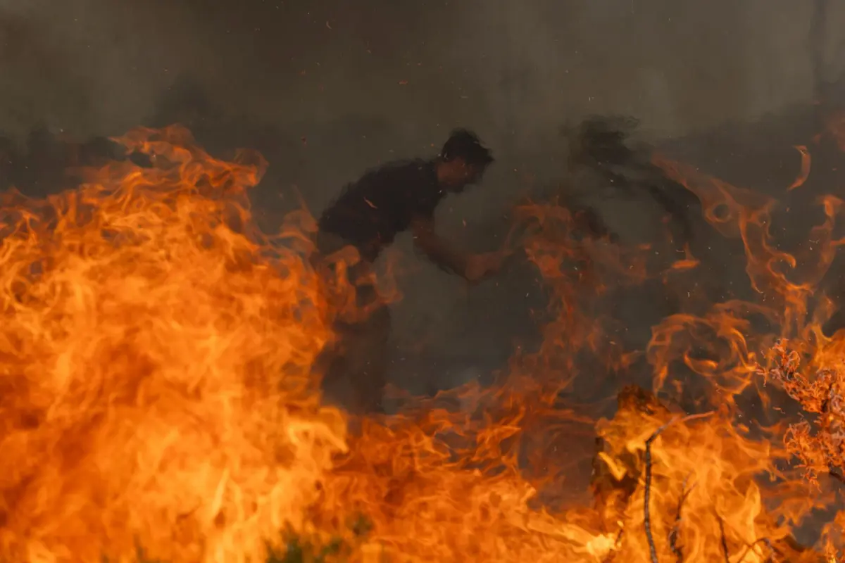 PJ deteve mulher que ateou incêndio, em Sintra