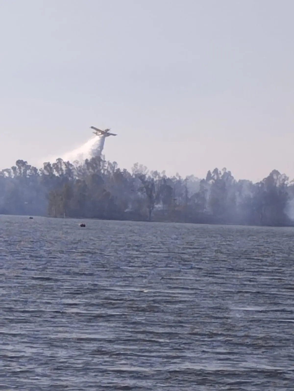 Ainda não é conhecida a origem do fogo