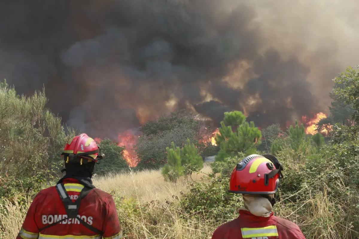 Portugal continental tem sido afetado por múltiplos incêndios rurais de grande dimensão