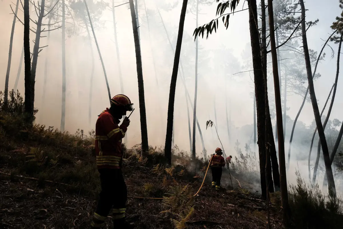Imagem de contexto do artigo São Brás de Alportel e Tavira em risco máximo de incêndio