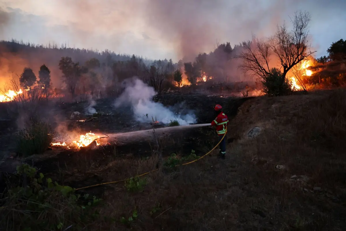 O detido foi constituído arguido, e os factos foram remetidos ao Tribunal Judicial de Gouveia
