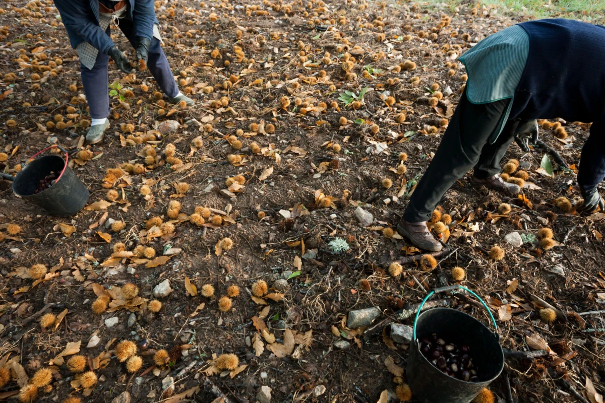 Imagem de contexto do artigo Mais de 100 milhões de euros para combater o despovoamento