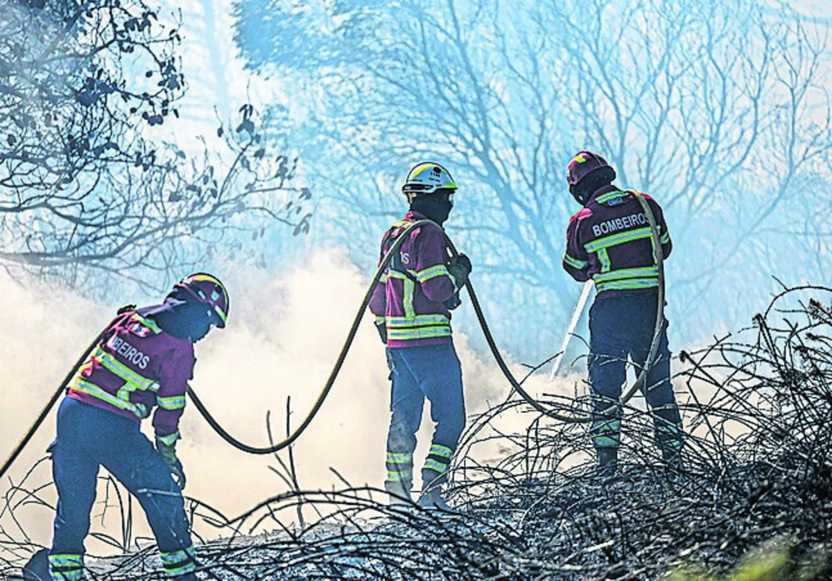Imagem de contexto do artigo Proteção Civil chumba criação de bombeiros nos Cardosos