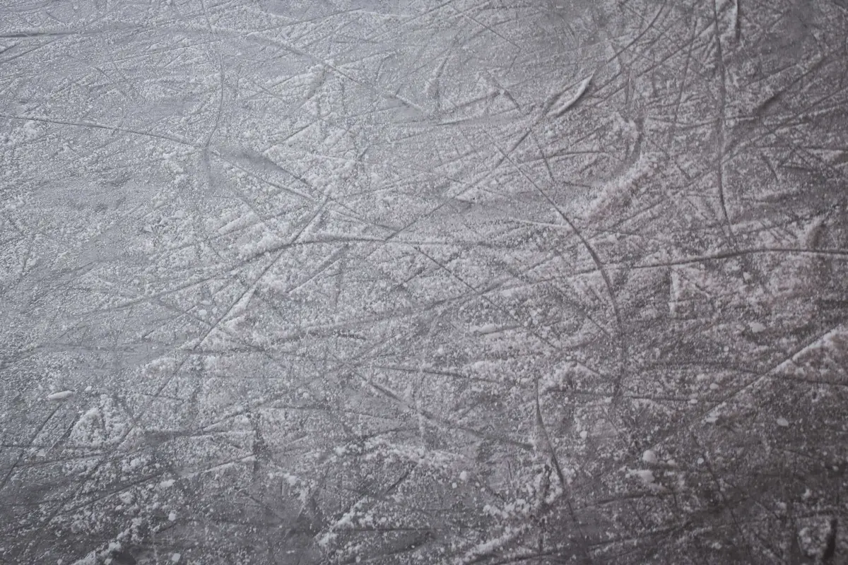 Um Ártico sem gelo poderá afetar bastante o ecossistema e o clima da Terra