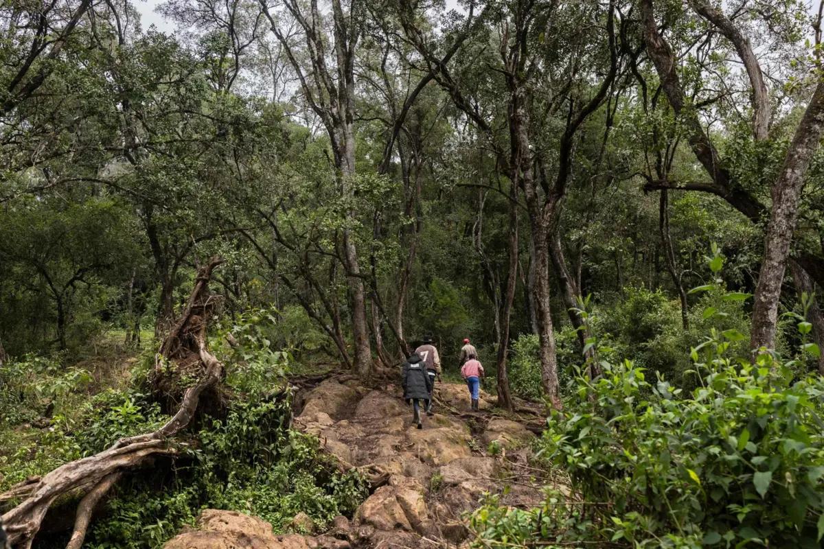 As investigações preliminares apontam que estes factos estão ligados ao chamado "massacre de Shakahola"