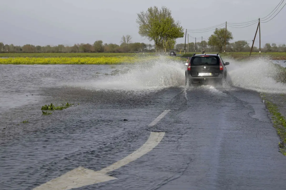 Embora seja "expectável, nas próximas horas, uma descida dos níveis hidrométricos na bacia do Tejo", as duas entidades de Proteção Civil lembram que os solos estão "saturados