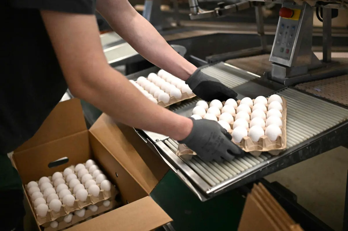 O maior aumento verificou-se no primeiro trimestre, com o preço a agravar-se 27,3%