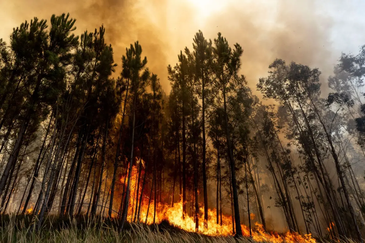 Força Aérea ajuda a "monitorizar as áreas mais vulneráveis a incêndios rurais"