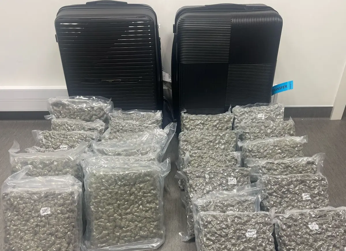 Judiciária deteve homem que transportava 43,5 quilos de canábis na bagagem