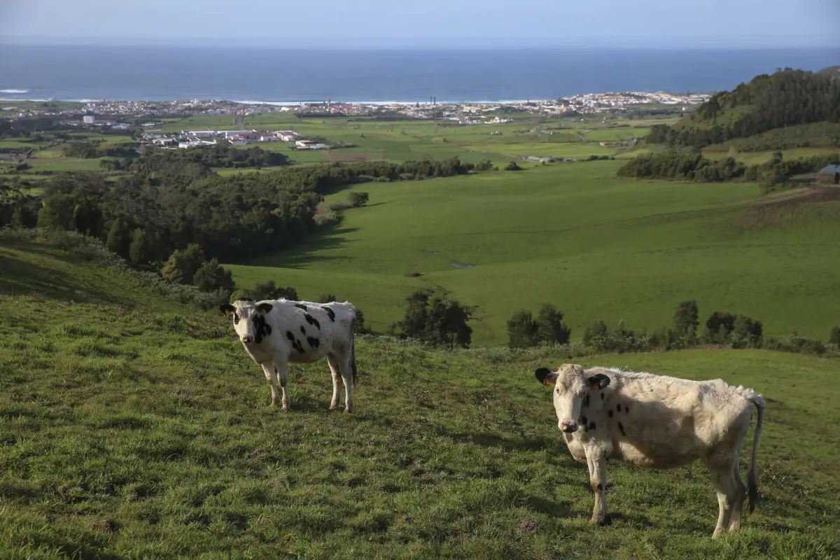 Açores estiveram vários dias sob aviso amarelo devido ao tempo quente