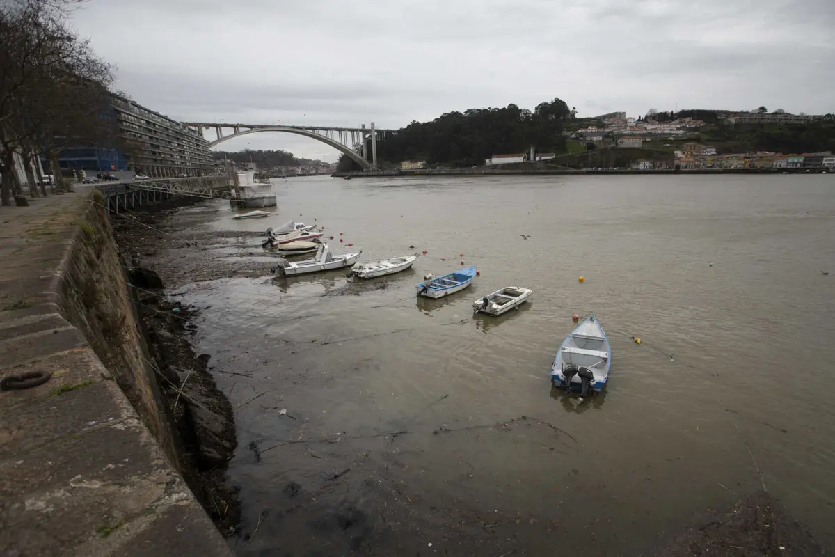 Corpo foi encontrado na zona de Lordelo do Ouro