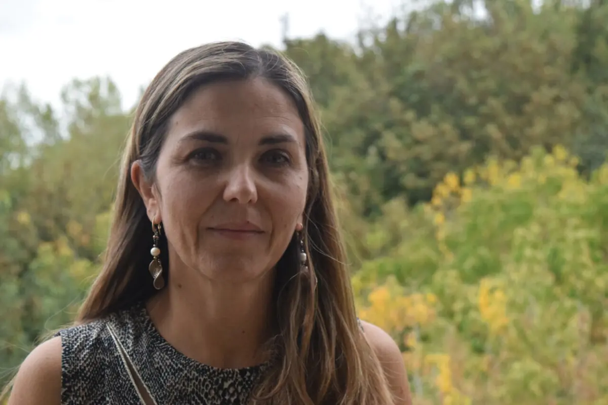 Daniela Guimarães afirma que os insetos vêm das árvores em frente à sua casa