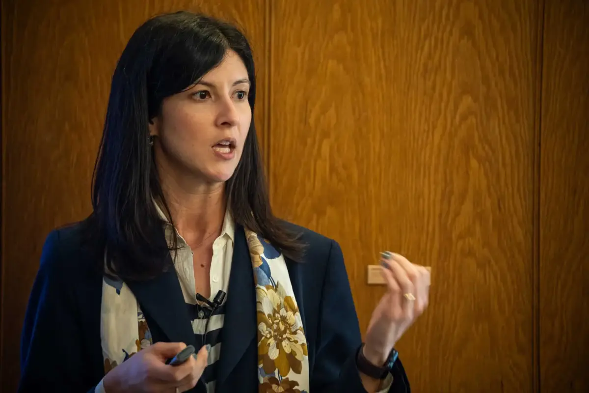 Rita Sá Machado, diretora-geral da Saúde