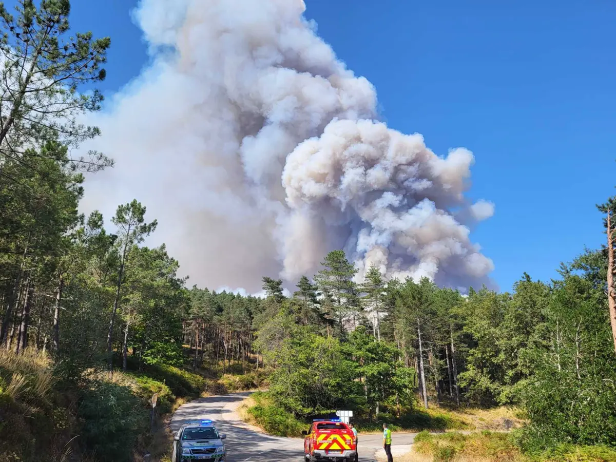 Imagem de contexto do artigo Fogo na Lousã mantém frente ativa na Ribeira de São João