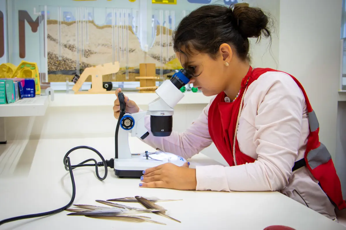 Imagem de contexto do artigo Férias no Pavilhão do Conhecimento: preferes Biologia, Robótica ou Culinária?